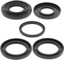 Rear Differential Bearing And Seal Kit