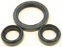 Differential Seal Kit