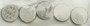 Valve Shims 7.48x1.55mm 5/pk