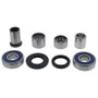 All Balls Racing Wheel Bearing Kit