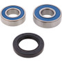 All Balls Racing Wheel Bearing Kit