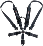 2" 5 Point Cam Lock Harness