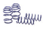 H&R 16-19 Ford Focus RS Sport Spring