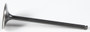 Black Diamond Intake Valve