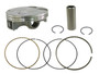 Piston Kit Forged Nikasil Cyl 95.97/std 12.0:1 Hon