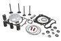 Top End Service Kit Ss Valve Conversion W/springs