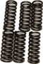 Clutch Springs Csk196