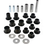 Rear Ind. Suspension Kit Can-am