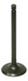 Exhaust Valve