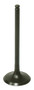 Exhaust Valve