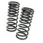 RS-R 09+ Nissan GT-R TI2000 Down Sus Springs