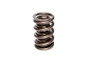 COMP Cams Valve Spring Nascar