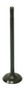 Exhaust Valve