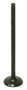 Exhaust Valve
