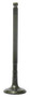 Exhaust Valve
