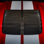 Ford Racing 20-22 Mustang GT500 Carbon Fiber Hood Vent Kit