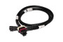 FAST FAST LS2/LS7 Cam Pickup Adapter Harness