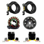 Stator+regulator+flywheel