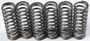 Clutch Springs Csk119