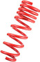 Tanabe DF210 Springs 12-13 Toyota Prius C