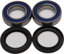 Wheel Bearing & Seal Kit