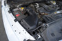 TURinjEVO8006_2