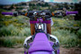 WP206-1099_1