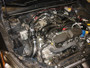 TURinjSP1225P_1