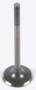 Exhaust Valve