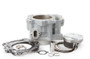 Cylinder Kit 102.00/std 9.2:1 Yam