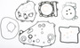 Complete Gasket Kit W/oil Seals Kaw