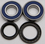 Wheel Bearing & Seal Kit