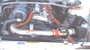 TURinjIS1900P_5