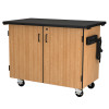 NPS Mobile Science Cabinet w Shelving