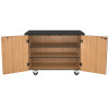 NPS Mobile Science Cabinet w Shelving
