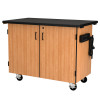 NPS Mobile Science Cabinet w Inner Drawers & Shelf