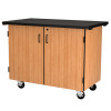 NPS Mobile Science Cabinet w Tote Trays