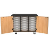 NPS Mobile Science Cabinet w Tote Trays