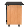 NPS Mobile Science Cabinet w Tote Trays