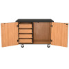 NPS Mobile Science Cabinet w Inner Drawers & Pegboard