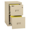 FireKing Turtle 2-Dr Vertical Fire-Resistant File 22”D