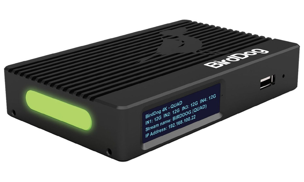 BirdDog 4K QUAD - Four channels of 12G SDI to 4Kp60 NDI - Image 1