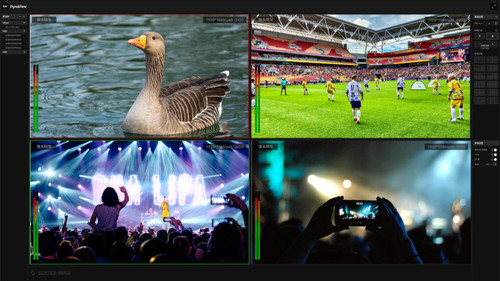 Science Image Dyna View - Multi-protocol Multi-view Monitoring Software - Image 1
