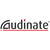 Audinate Dante Virtual Soundcard Token - Redeemable for standard DVS permanent license - Image 1