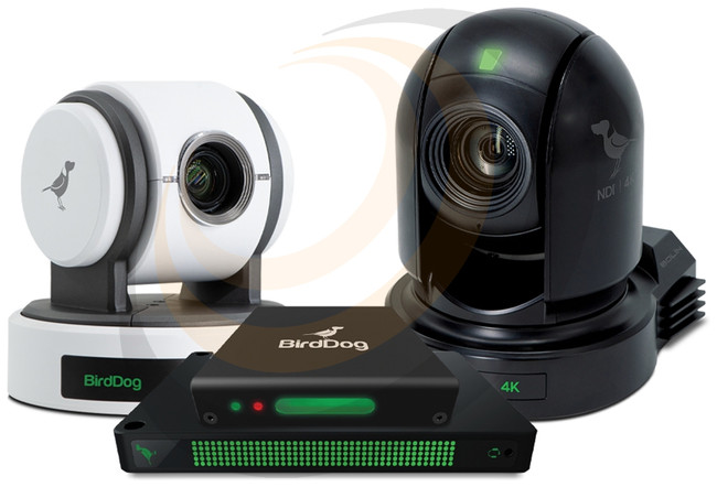 BirdDog BirdDog Dante for Hardware - Image 1