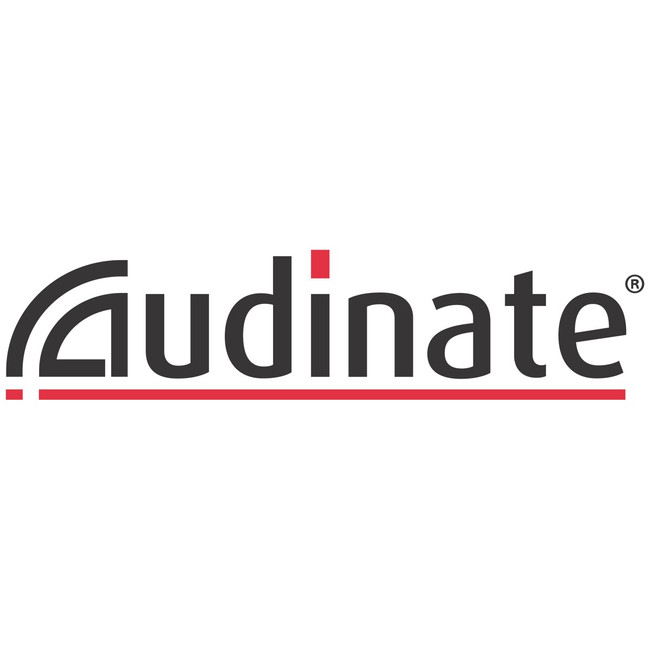 Audinate Support & Maintenance 1 Year Renewal Silver - Image 1