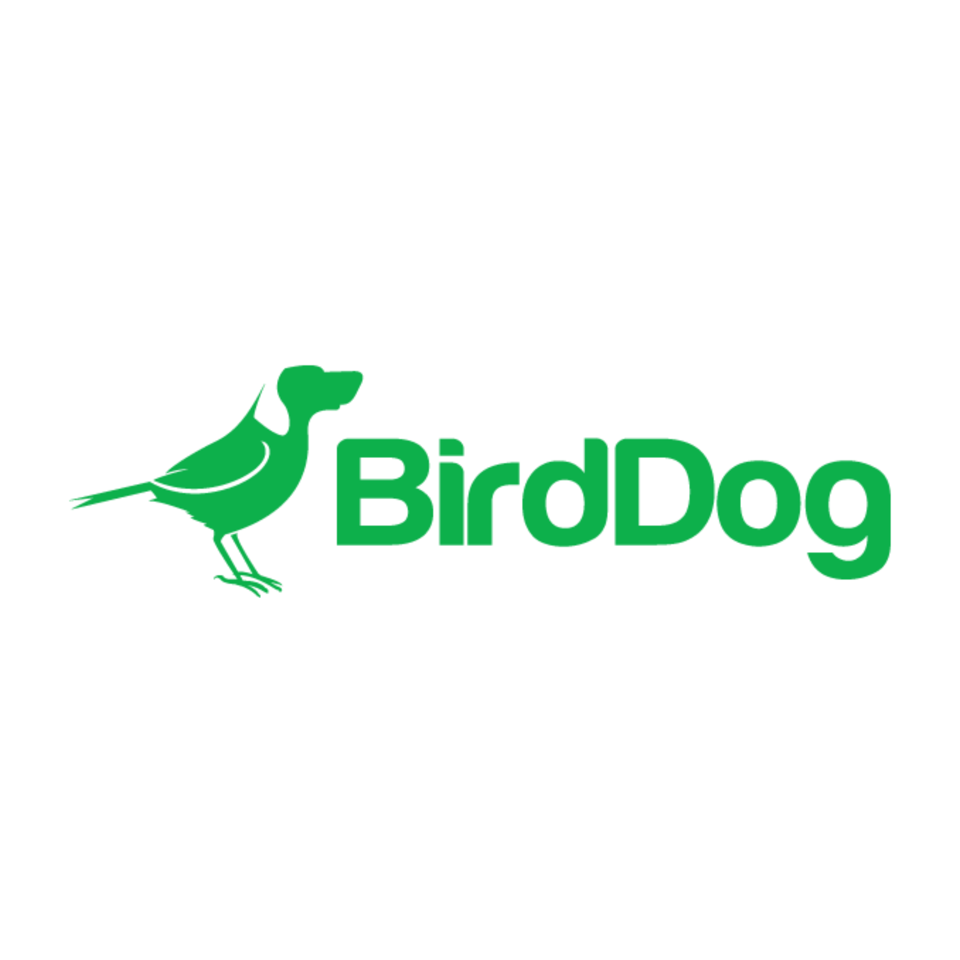 BirdDog logo