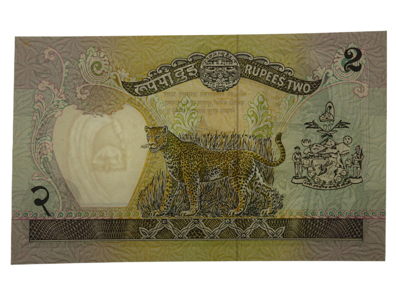 Nepali note ネパール札 2 rupee Nepal 2 Rupees 1995 Leopard & King Banknote World Paper