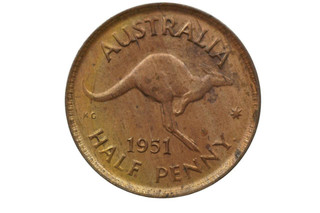 1951 Y. Half Penny George VI in Extremely Fine Condition