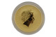 2012 1 oz 9999 Gold Australian Kangaroo $100 Uncirculated Coin
